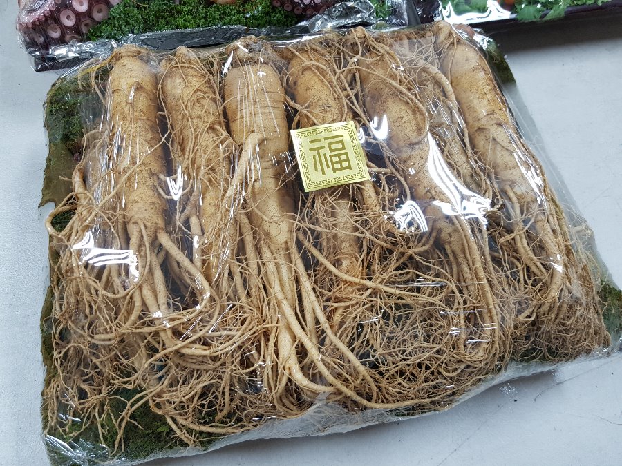 수삼0.jpg